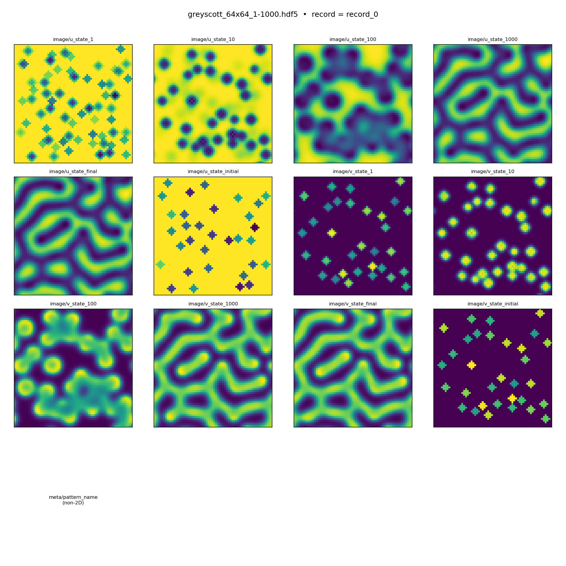 DATASET: